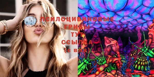 ПСИЛОЦИБИНОВЫЕ ГРИБЫ Горнозаводск