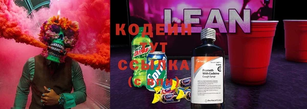 ПСИЛОЦИБИНОВЫЕ ГРИБЫ Горнозаводск