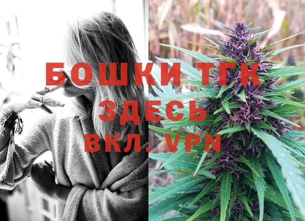 ПСИЛОЦИБИНОВЫЕ ГРИБЫ Горнозаводск