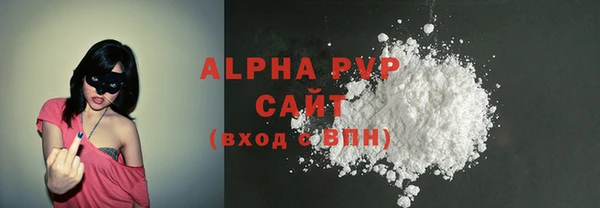 прущие грибы Горно-Алтайск