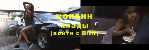 прущие грибы Горно-Алтайск