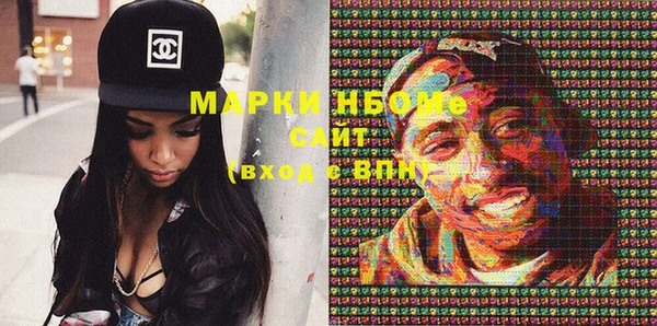 прущие грибы Горно-Алтайск