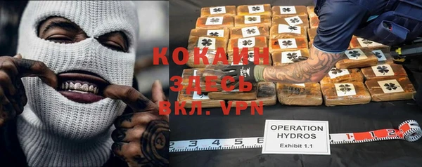ПСИЛОЦИБИНОВЫЕ ГРИБЫ Горнозаводск