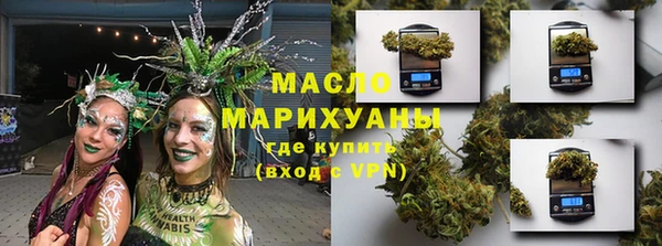 прущие грибы Горно-Алтайск