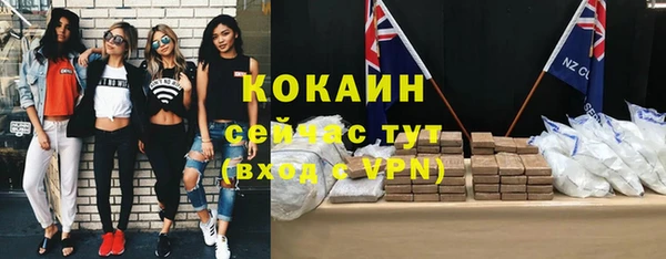 прущие грибы Горно-Алтайск