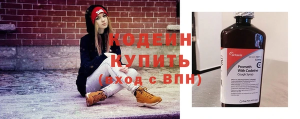 прущие грибы Горно-Алтайск