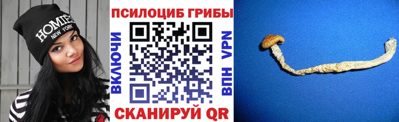Купить где  Нижнеудинск  Псилоцибиновые грибы прущие грибы 